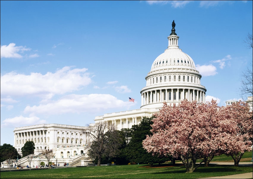 U.S. Capitol Building, Washington, Carol Highsmith - plakat 40x30 cm