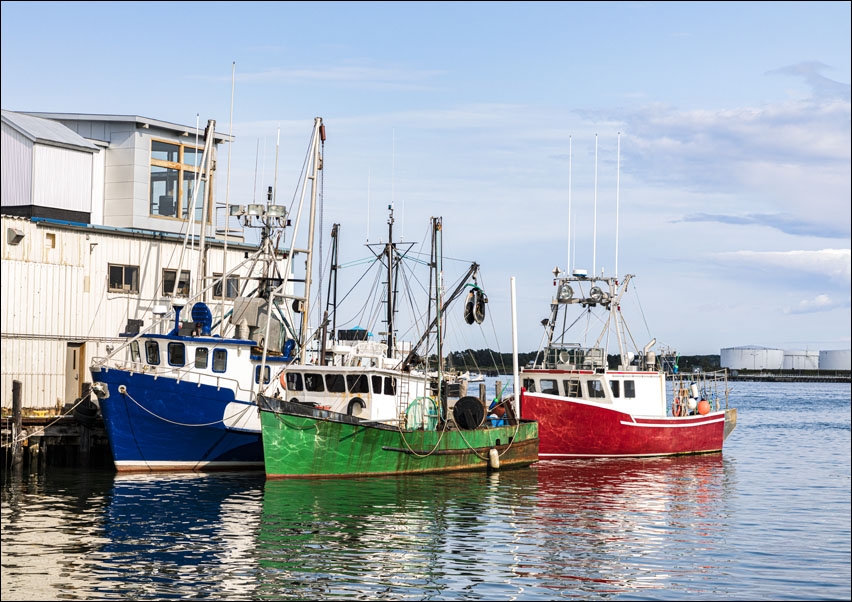 Scene at the busy harbor on Casco Bay in Portland, Maine., Carol Highsmith - plakat 70x50 cm