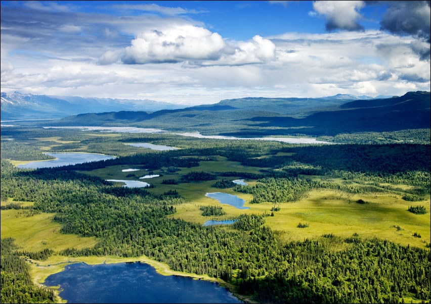 Mount McKinley or Denali (
