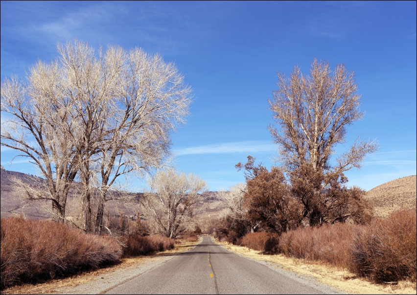 Road in California., Carol Highsmith - plakat 70x50 cm