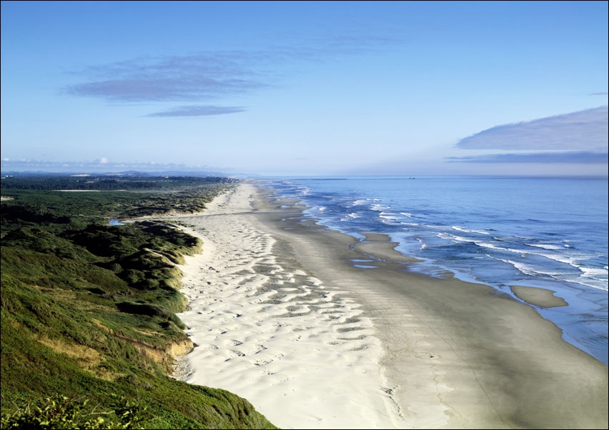 Oregon Dunes along the Pacific Ocean., Carol Highsmith - plakat 100x70 cm