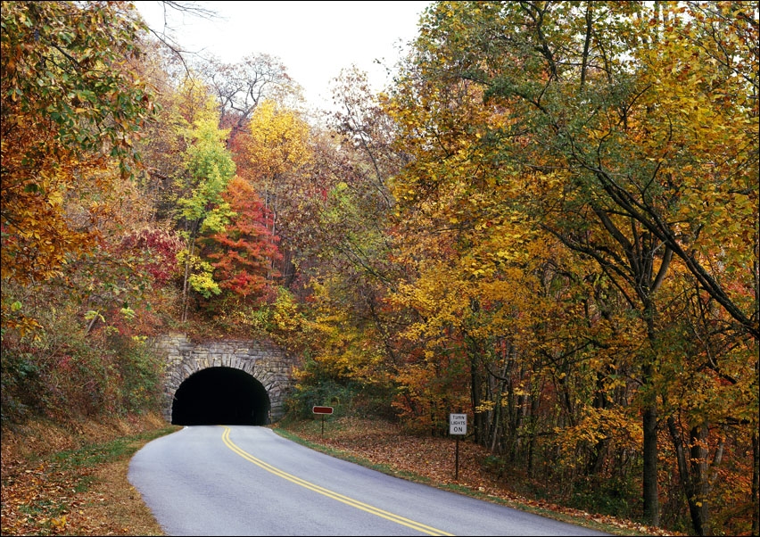 Tunnel on North Carolina’s Blue Ridge Parkway, Carol Highsmith - plakat 70x50 cm