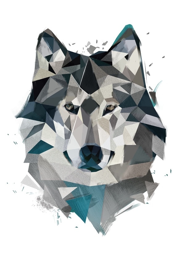 Wilk - plakat Wymiar do wyboru: 30x40 cm