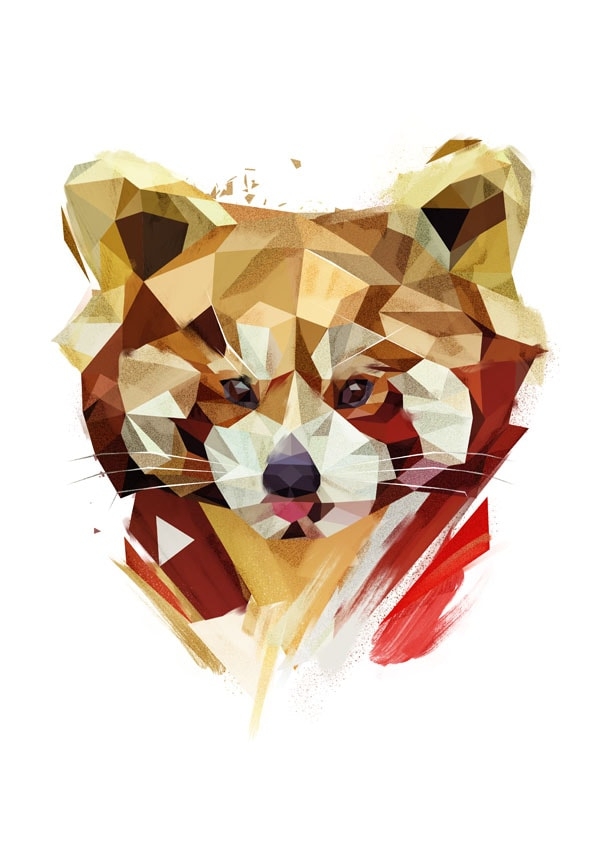 Redpanda - plakat Wymiar do wyboru: 70x100 cm