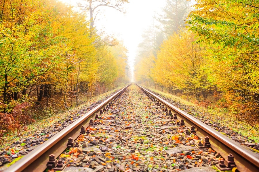 Galeria Plakatu, Plakat, Wsiądż Do Pociągu....., 40x30 cm