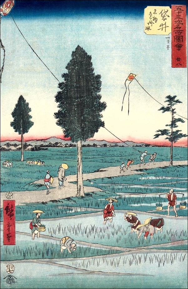 Fukuroi Famous Tôtômi Kites, Hiroshige Ando - plakat Wymiar do wyboru: 40x50 cm