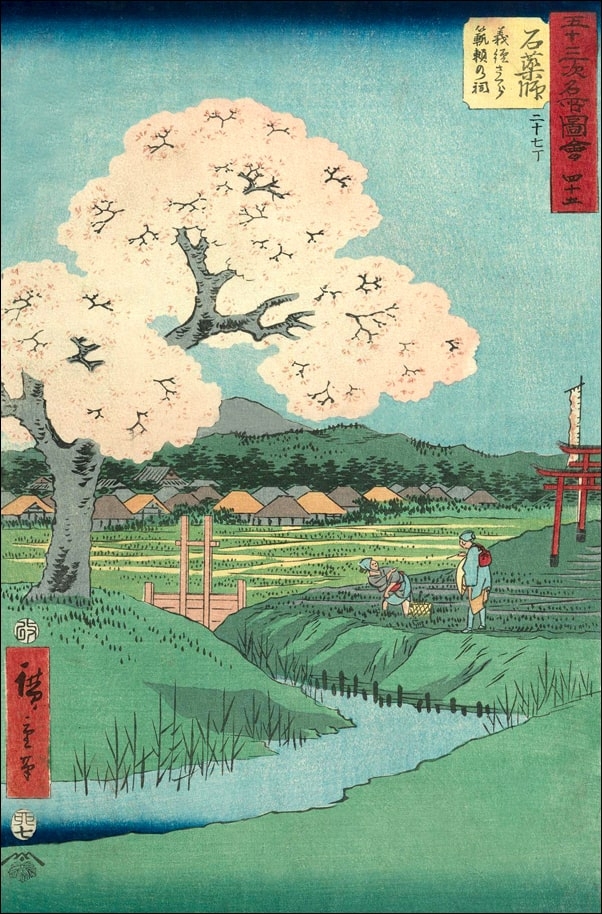 Ishiyakushi Yoshitsune's Cherry Tree and the Shrine of Noriyori, Hiroshige Ando - plakat Wymiar do wyboru: 20x30 cm