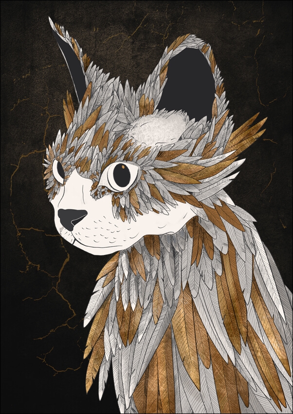 Feathered Cat - plakat Wymiar do wyboru: 40x50 cm
