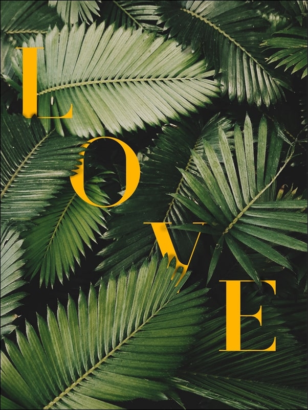 Liście Love - plakat Wymiar do wyboru: 42x59,4 cm
