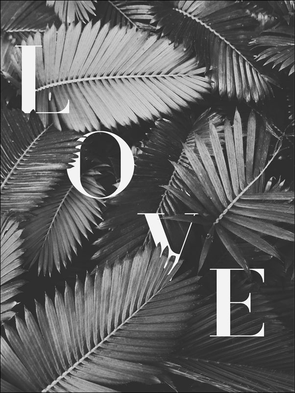 Liście Love BW - plakat Wymiar do wyboru: 30x40 cm
