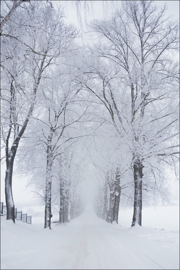 Zima na Mazurach - plakat premium Wymiar do wyboru: 70x100 cm