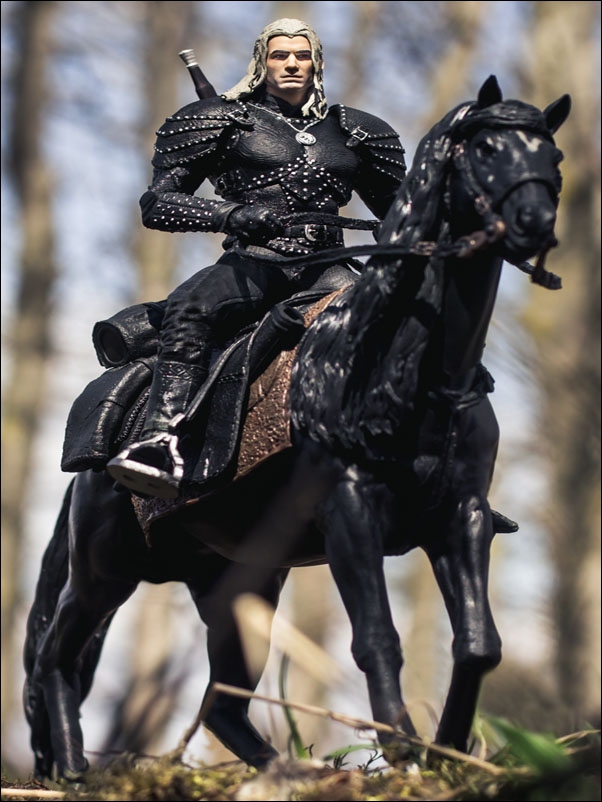 Geralt i Płotka, Wiedźmin - plakat Wymiar do wyboru: 40x50 cm