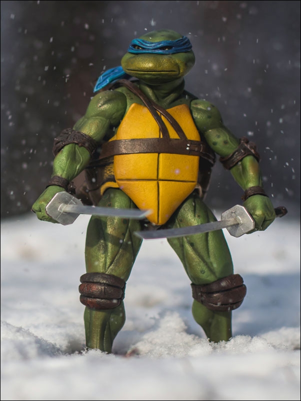 Leonardo, Wojownicze Żółwie Ninja - plakat Wymiar do wyboru: 50x70 cm