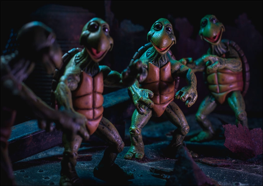 Baby Turtles, Wojownicze Żółwie Ninja - plakat Wymiar do wyboru: 70x50 cm