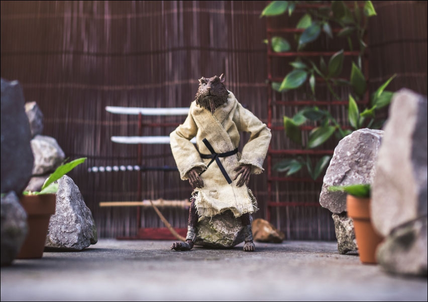 Splinter, Wojownicze Żółwie Ninja - plakat Wymiar do wyboru: 70x50 cm