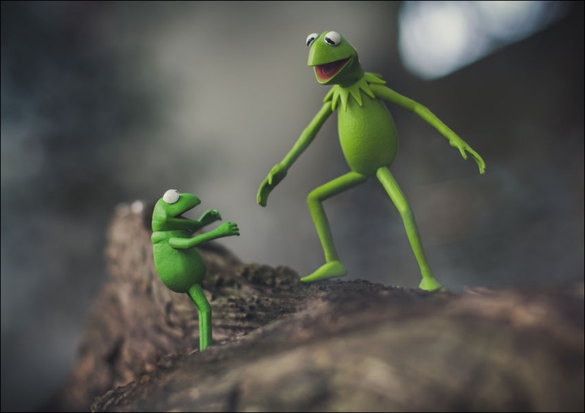 Kermit Żaba i Robin, Ulica Sezamkowa - plakat Wymiar do wyboru: 40x30 cm