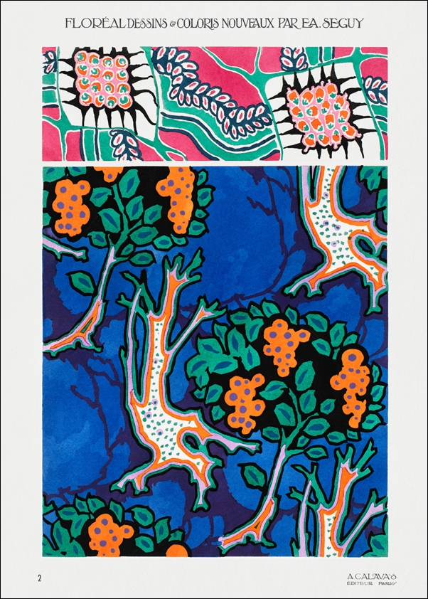 Floral colorful background, vintage art deco & art nouveau background, plate no. 2 from Floréal, E. A. Séguy -  plakat Wymiar do wyboru: 50x70 cm