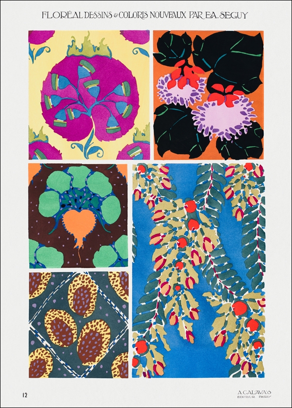 Botanical colorful background, E. A. Séguy -  plakat Wymiar do wyboru: 70x100 cm