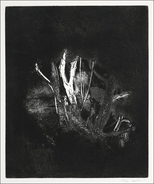 Omega’s Eyes (ca. 1908–1909), Edvard Munch -  plakat Wymiar do wyboru: 42x59,4 cm
