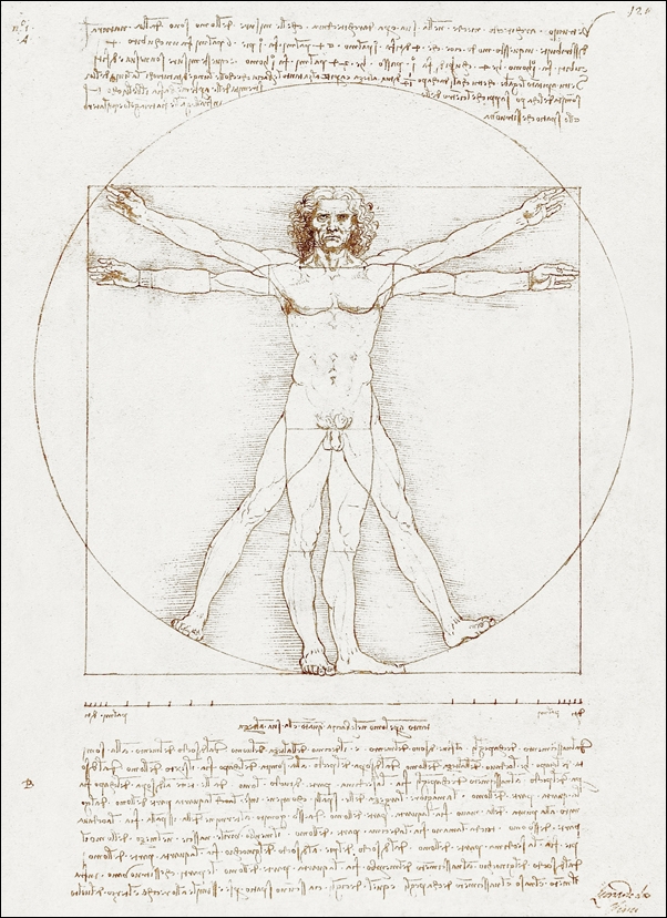 Vitruvian Man, Leonardo Da Vinci -  plakat Wymiar do wyboru: 50x70 cm
