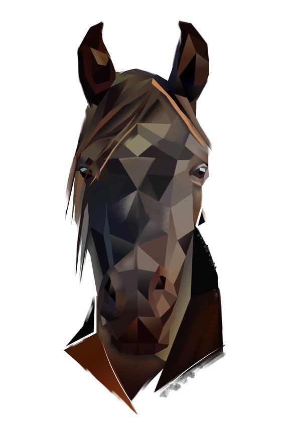Czarny koń na białym tle - plakat Wymiar do wyboru: 40x60 cm