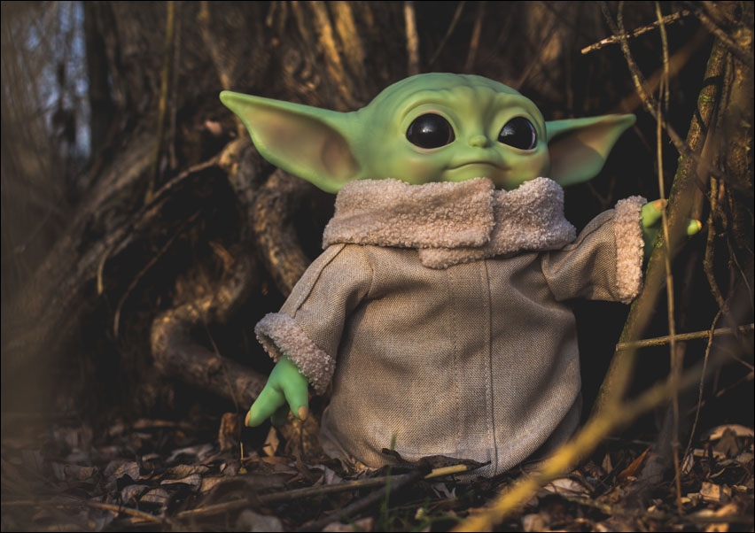 The Mandalorian, Grogu - plakat Wymiar do wyboru: 50x40 cm