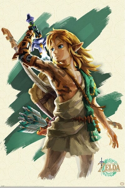 The Legend Of Zelda Tears Of The Kingdom Link - plakat