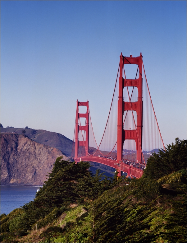 The Tenley-Friendship branch of the D.C., Carol Highsmith - plakat 50x70 cm