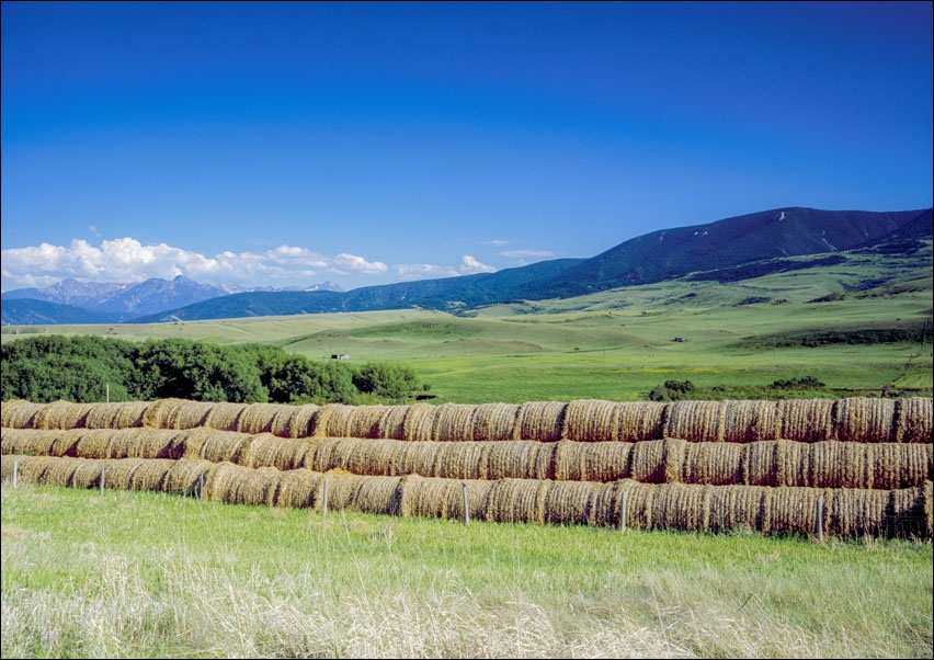 Plenty of hay for the winter at this farm in eastern Montana, Carol Highsmith - plakat 40x30 cm