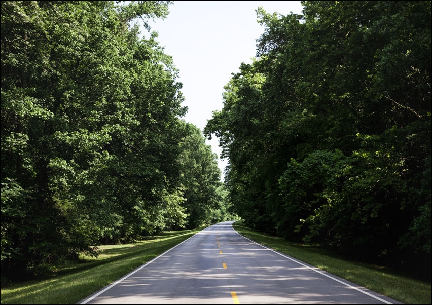 Natchez Trace parkway in Florence, Alabama, Carol Highsmith - plakat 100x70 cm