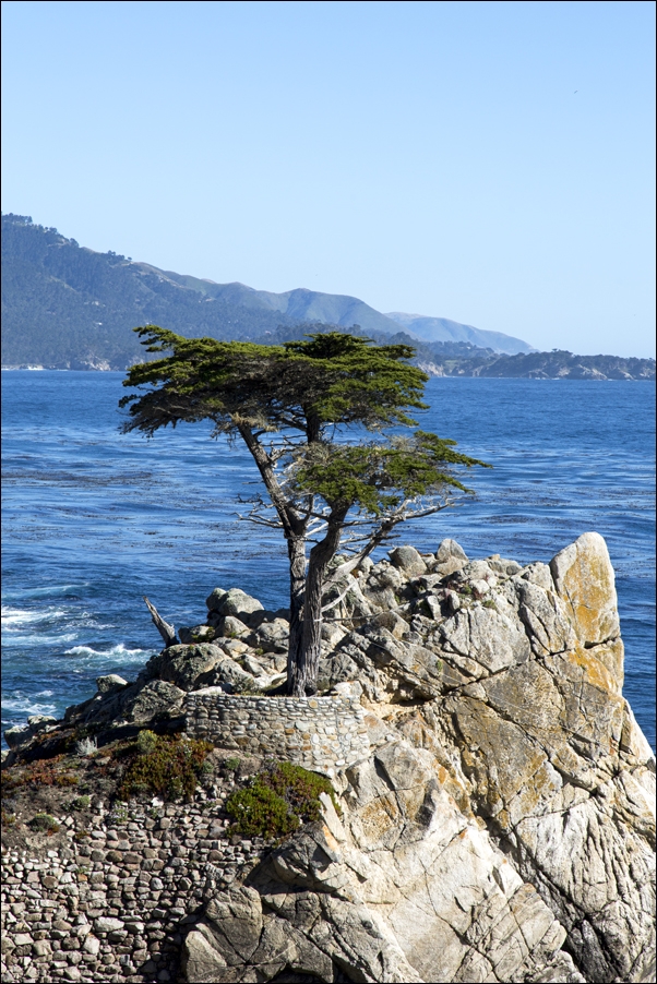 Scene along the trail to Marymere Falls, Carol Highsmith - plakat 50x70 cm