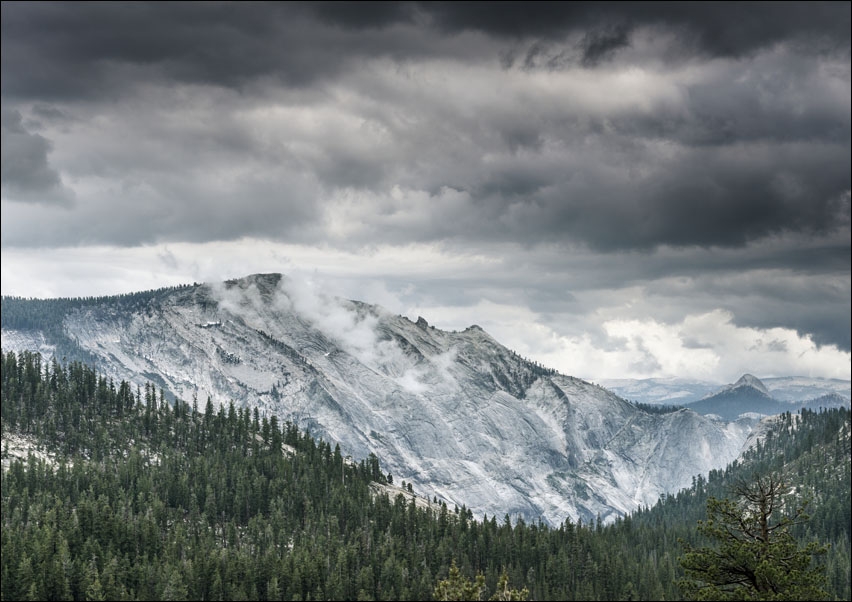 Yosemite National Park., Carol Highsmith - plakat 100x70 cm