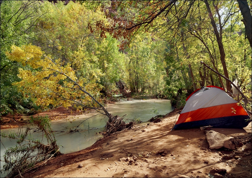 Havasu Creek flows past a campground between Mooney Falls and Havasu Falls, Carol Highsmith - plakat 50x40 cm