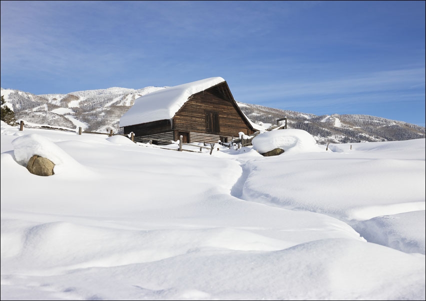 Heavy snow surrounds and lies a top a cabin in Steamboat Springs, Colorado., Carol Highsmith - plakat 50x40 cm