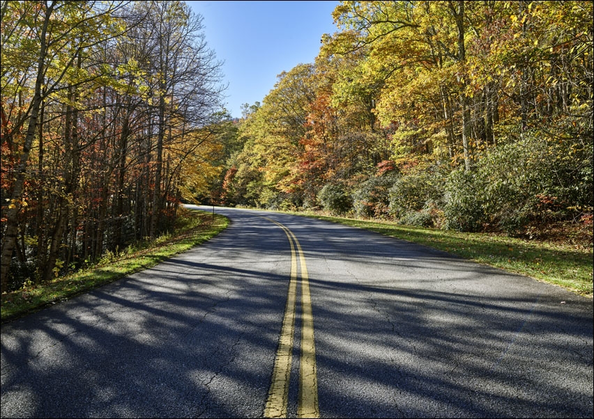 The road curves on the Blue Ridge Parkway, near Foscoe, North Carolina., Carol Highsmith - plakat 100x70 cm