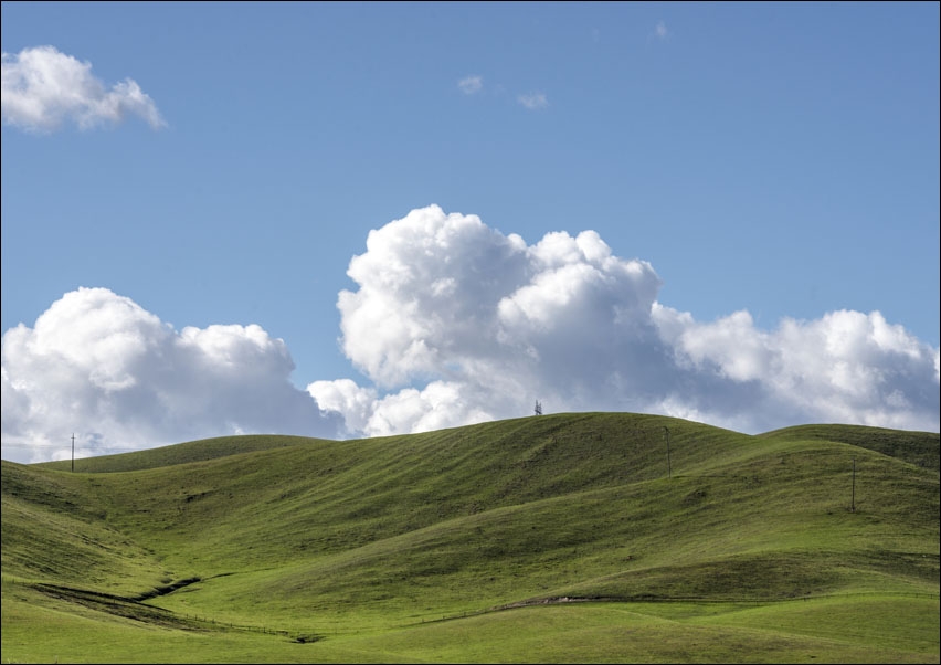 View of the verdant San Joaquin Valley near Gustine in Merced County, California., Carol Highsmith - plakat 100x70 cm