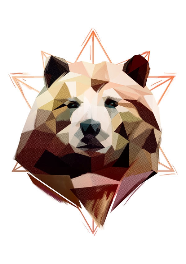 Niedźwiedź - plakat Wymiar do wyboru: 30x40 cm