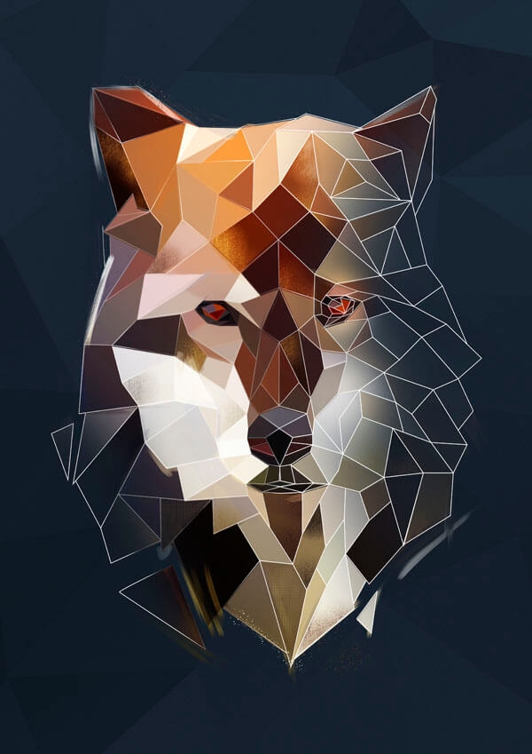 Wilk granatowe tło - plakat Wymiar do wyboru: 21x29,7 cm