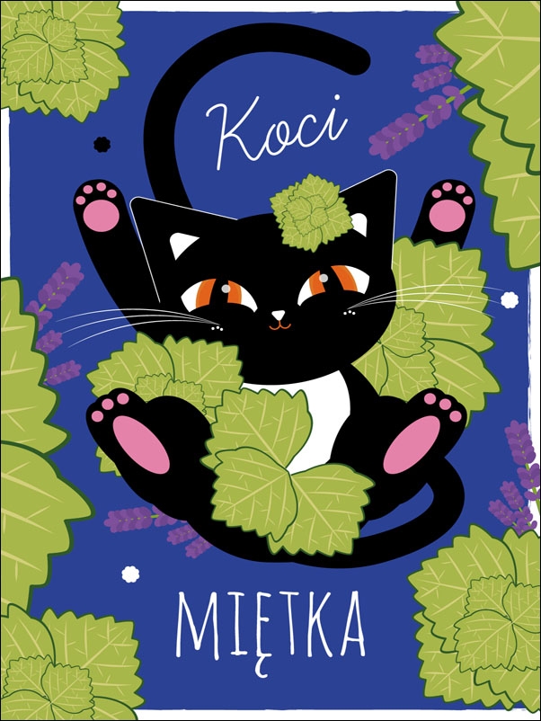KociMiętka niebieska - plakat Wymiar do wyboru: 61x91,5 cm