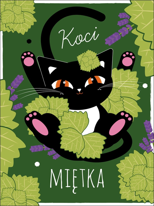 KociMiętka zielona - plakat Wymiar do wyboru: 61x91,5 cm