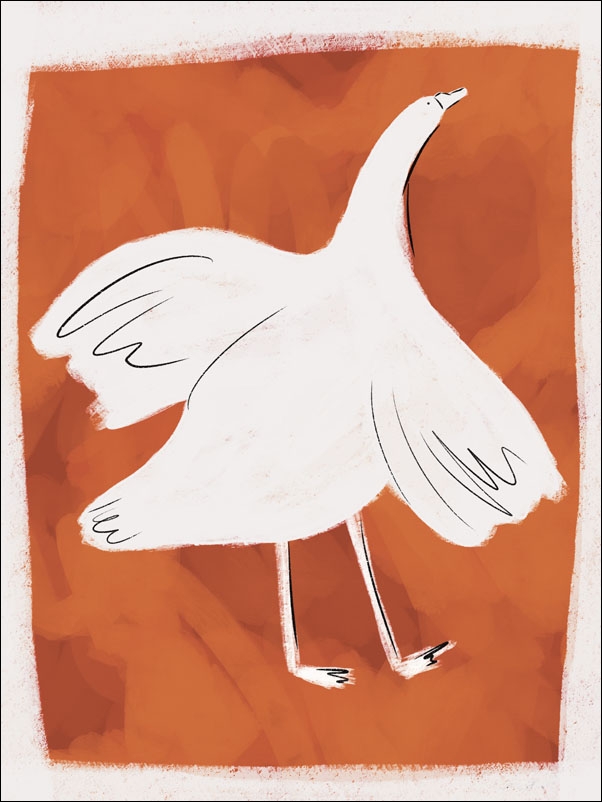 Gęś - plakat Wymiar do wyboru: 61x91,5 cm