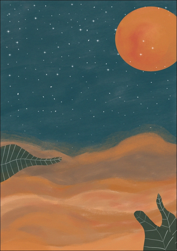 pustynia - plakat Wymiar do wyboru: 40x50 cm