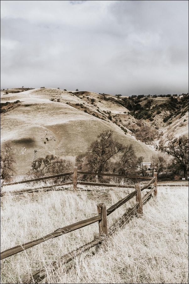 Skyline view of Los Angeles, California., Carol Highsmith - plakat 70x100 cm