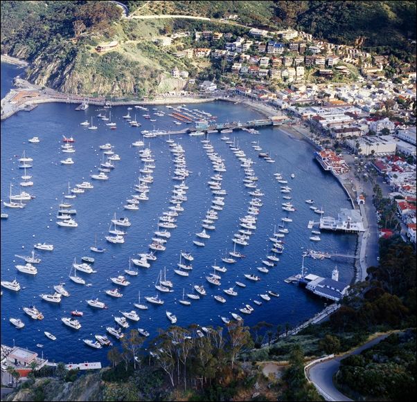 Santa Catalina Island, often called Catalina Island, or just Catalina, is a rocky island off the coast of the U.S. state of California., Carol Highsmi