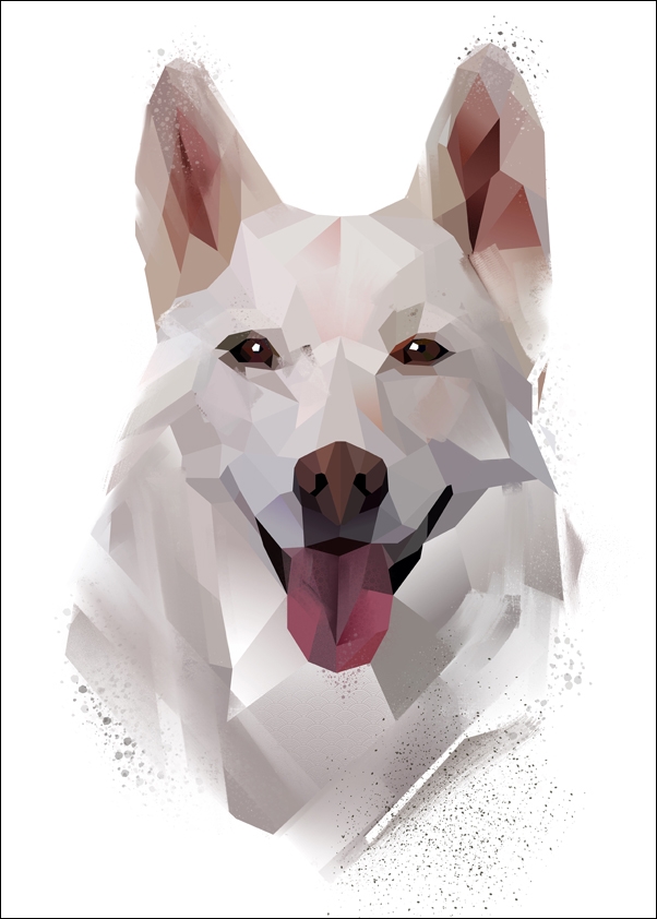 husky - plakat Wymiar do wyboru: 40x50 cm