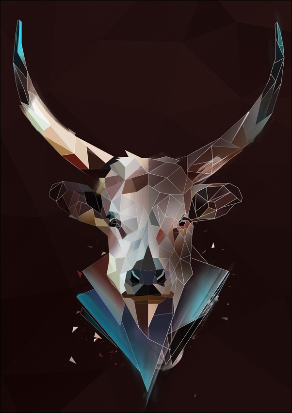 Byk tło - plakat Wymiar do wyboru: 50x70 cm