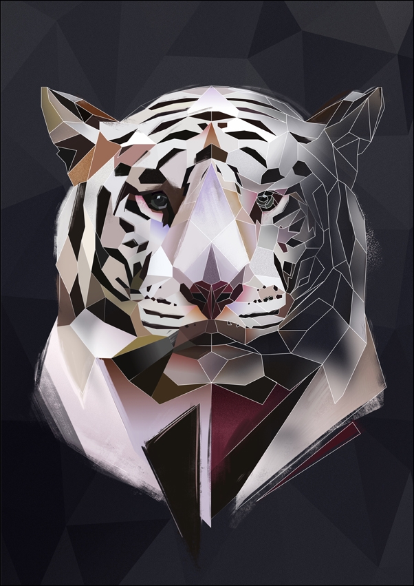 Biały tygrys, ciemne tło - plakat Wymiar do wyboru: 30x40 cm