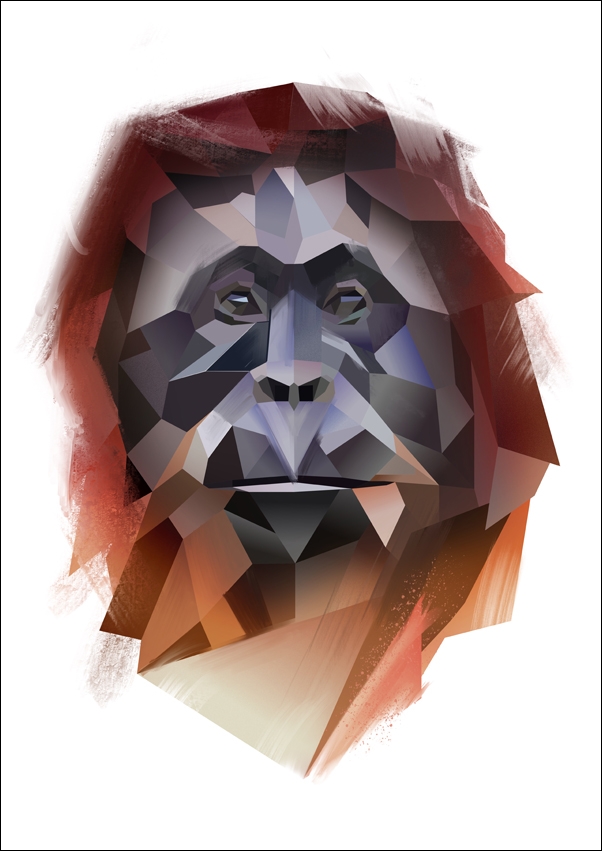 orangutan - plakat Wymiar do wyboru: 40x50 cm