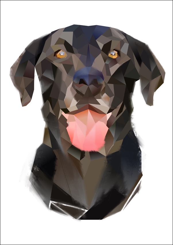 Pies - plakat Wymiar do wyboru: 30x40 cm