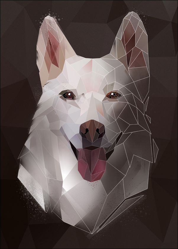 husky tło - plakat Wymiar do wyboru: 50x70 cm